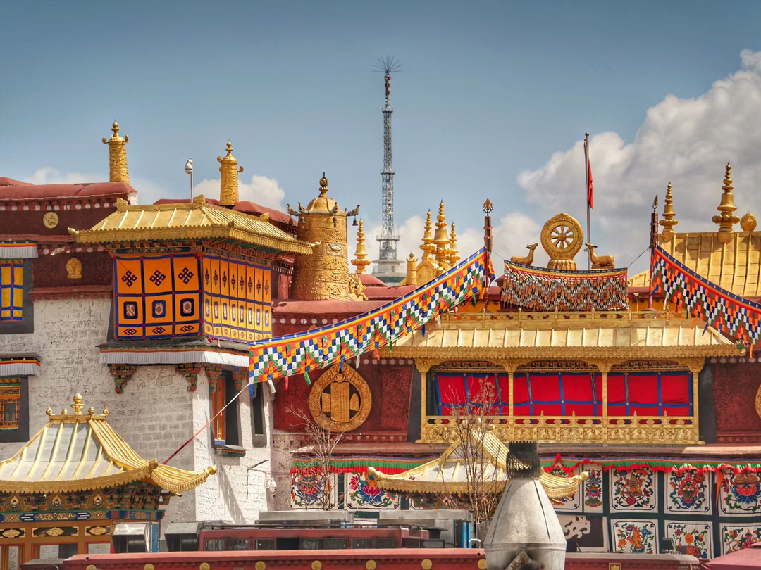 13 Days Trip to Tibet and Panda Wonderland