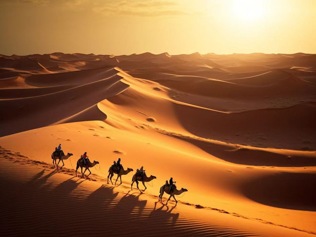 16 Days Marco Polo Silk Road Tour