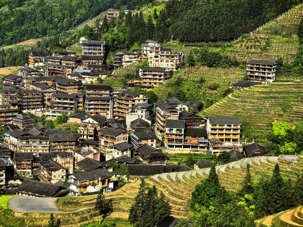 4 Days 'Enchanting Landscapes' Tour